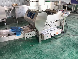 เครื่องแพ็คไก่ไข่อัตโนมัติชิ้นส่วนเครื่องจักรแปรรูปอาหารอุปกรณ์ในฟาร์มผลิตในระดับสูง - Product Image 2