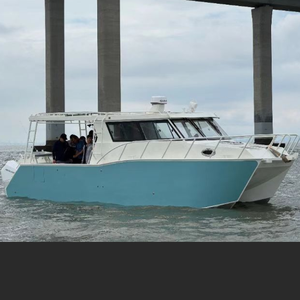 Catamaran de pêche de plaisance en aluminium de 10 mètres (33 pieds) pour 12 personnes - Product Image 1