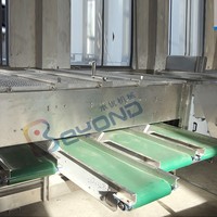 500Kg 380V Fruit & Groenten Sortering Sorteermachine Met 304 Roestvrij Staal Voor Landbouwbedrijven Zilver Grotere Houten Kist