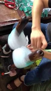 Bolas de baño grandes con diseño de dos colores, Red de burbujas de fregado suave, uso efectivo de jabón PE, suministros de baño con bloqueo de Color - Product Image 5