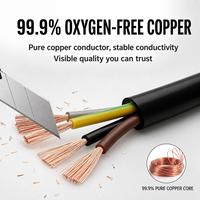 Cable Eléctrico Flexible de Cobre RVV 300/500V con Aislamiento de PVC y Revestimiento de PVC para Cableado de Control y Equipos