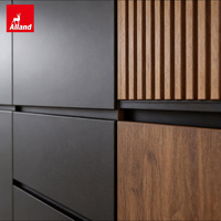 Armoires de cuisine Alland en chêne massif, personnalisées, pour les professionnels du bâtiment, de style moderne, noir mat, avec des panneaux rainurés, pour villas de luxe et complexes hôteliers