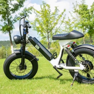 Bicicleta Eléctrica Económica con Llantas Gruesas de 20 Pulgadas, Batería de Litio de 500W48V12ah - Product Image 6