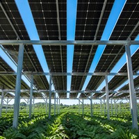 Système de montage solaire au sol agrivoltaïque sur terres agricoles avec structure de support photovoltaïque pour fermes