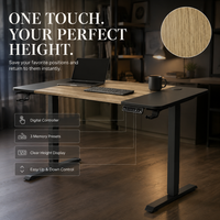 Table de levage AOR, 3 ensembles de mémoires, cadre en T résistant aux chocs, bureau d'ordinateur pour la maison et le bureau, vente en gros d'usine