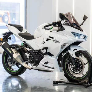 Motocicleta de Carreras de Dos Cilindros 400cc, Estilo Ninja Horizon, Usada, para Adultos, Vehículo Completo, Se Puede Registrar - Product Image 6