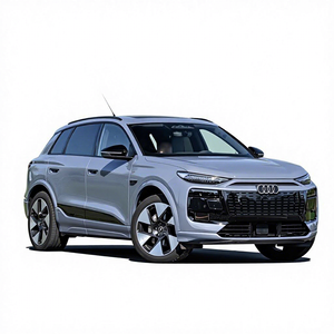 Oferta Especial: Au-di <span class=keywords><strong>Q6</strong></span> <span class=keywords><strong>E</strong></span>-<span class=keywords><strong>tron</strong></span> Edición Pioneer 2025 |   SUV Eléctrico de Lujo: un Nuevo Punto de Referencia para la Movilidad Interurbana Integral - Product Image 1