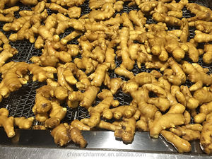 Harga grosir jahe kuning Tiongkok jahe segar Crop baru 2025 - Product Image 4