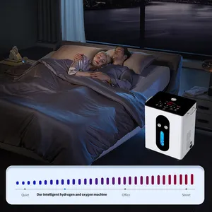 Machine d'inhalation d'hydrogène PEM SPE 3000 ml/min, membrane Dupont N117, pureté 99,995 %, générateur d'hydrogène moléculaire pour usage domestique et clinique - Product Image 1