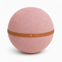 Ballon d'exercice ergonomique anti-éclatement de 65 cm de couleur personnalisée, pour soulager les douleurs dorsales, yoga, pilates, chaise de bureau, Pezziball