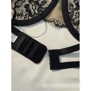 Nouveautés du printemps, vente flash, lingerie sexy pour femmes, broderie florale en dentelle, lingerie transparente sexy, vêtements intimes, deux pièces - Product Image 4