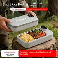 Boîte à lunch isotherme rechargeable en acier inoxydable 304, chauffage rapide sans eau, pot amovible pour le bureau