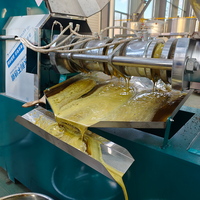 Machine d'extraction d'huile à vis de type nouveau, 200-350 kg/h, pour l'extraction d'huile de soja et de colza, utilisée dans les usines de traitement de l'huile