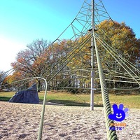 Pyramide d'escalade en corde pour enfants, équipement de terrain de jeu en forme de toile d'araignée, pour parcs et écoles, conception personnalisée