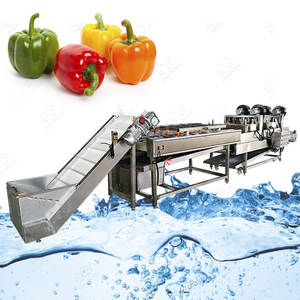 SUS 304 mesin cuci dan pengering sayuran, daun hijau daun Moringa segar mesin cuci dan Pengering - Product Image 1