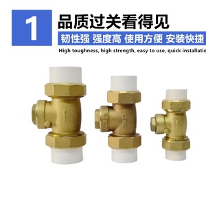 Vanne de retenue en laiton PPR DN25 à passage direct pour raccordement par fusion thermique de conduites d'eau - Product Image 4