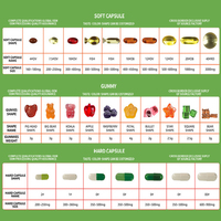 Zwarte vlierbessenextract Sambucus vlierbessengummies voor het immuunsysteem en vitaminen Kruidensupplement