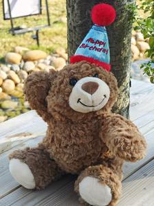 All'ingrosso <span class=keywords><strong>buon</strong></span> <span class=keywords><strong>compleanno</strong></span> <span class=keywords><strong>orsacchiotto</strong></span> con cappello animali di peluche rosso blu rosa <span class=keywords><strong>orsacchiotto</strong></span> di <span class=keywords><strong>compleanno</strong></span> - Product Image 5