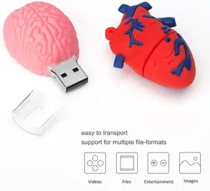 Gitra Medical USB-Flash-Laufwerk Pharmazeuti scher Memory-Stick USB 2.0 Metallstift-Laufwerk Herz-Lungen-Gehirn-Nieren-Flash-Laufwerk