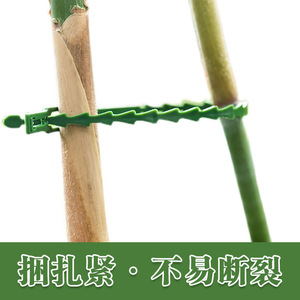 Ruban de ligature Haihua Garden vert, écologique, pour le soutien des plantes en horticulture - Product Image 4