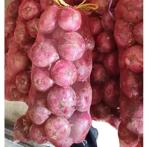 Großhandel hohe Qualität 1 kg 3 kg 5 kg 10 kg Kartoffel Zwiebel-Beutel Gemüse Früchte Kaminkholz PP Gewebte Netzbeutel