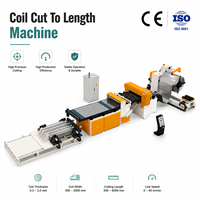 Linea di Produzione Automatica per Taglio di Bobine d'Acciaio per Tetti con Cambio e PLC