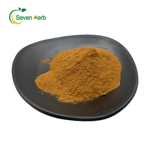 Pó de Extrato de Fruta <span class=keywords><strong>Cnidium</strong></span> 100% Puro, Suplemento de Saúde 10:1 20:1, Extrato de Fructus Cnidii para Cuidados Pessoais Masculinos - Product Image 3