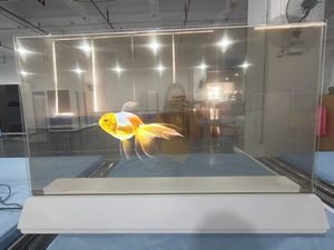 Kiosque tactile capacitif <span class=keywords><strong>transparent</strong></span> de 55 pouces, affichage numérique <span class=keywords><strong>transparent</strong></span> personnalisé, <span class=keywords><strong>écran</strong></span> publicitaire <span class=keywords><strong>OLED</strong></span> à bon <span class=keywords><strong>prix</strong></span> - Product Image 2
