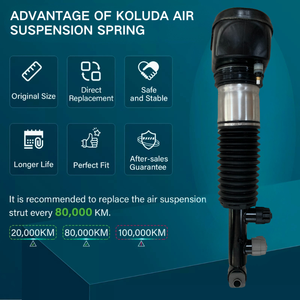 Thương Hiệu Mới Phía Sau Không Khí Hệ Thống Treo Sốc Hấp Thụ Cho BMW 7 Loạt G70 735 740 OEM Thay Thế <span class=keywords><strong>Strut</strong></span> 37105a44643 37105a44644 - Product Image 6