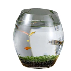 Contenitore per terrario <span class=keywords><strong>in</strong></span> <span class=keywords><strong>vetro</strong></span> vasi cilindrici terrario per <span class=keywords><strong>piante</strong></span> <span class=keywords><strong>in</strong></span> barattolo <span class=keywords><strong>di</strong></span> <span class=keywords><strong>vetro</strong></span> - Product Image 4