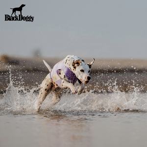 Gilet de sport pour chien BlackDoggy Designer, été, polyester, tailles XS-4XL - Product Image 2