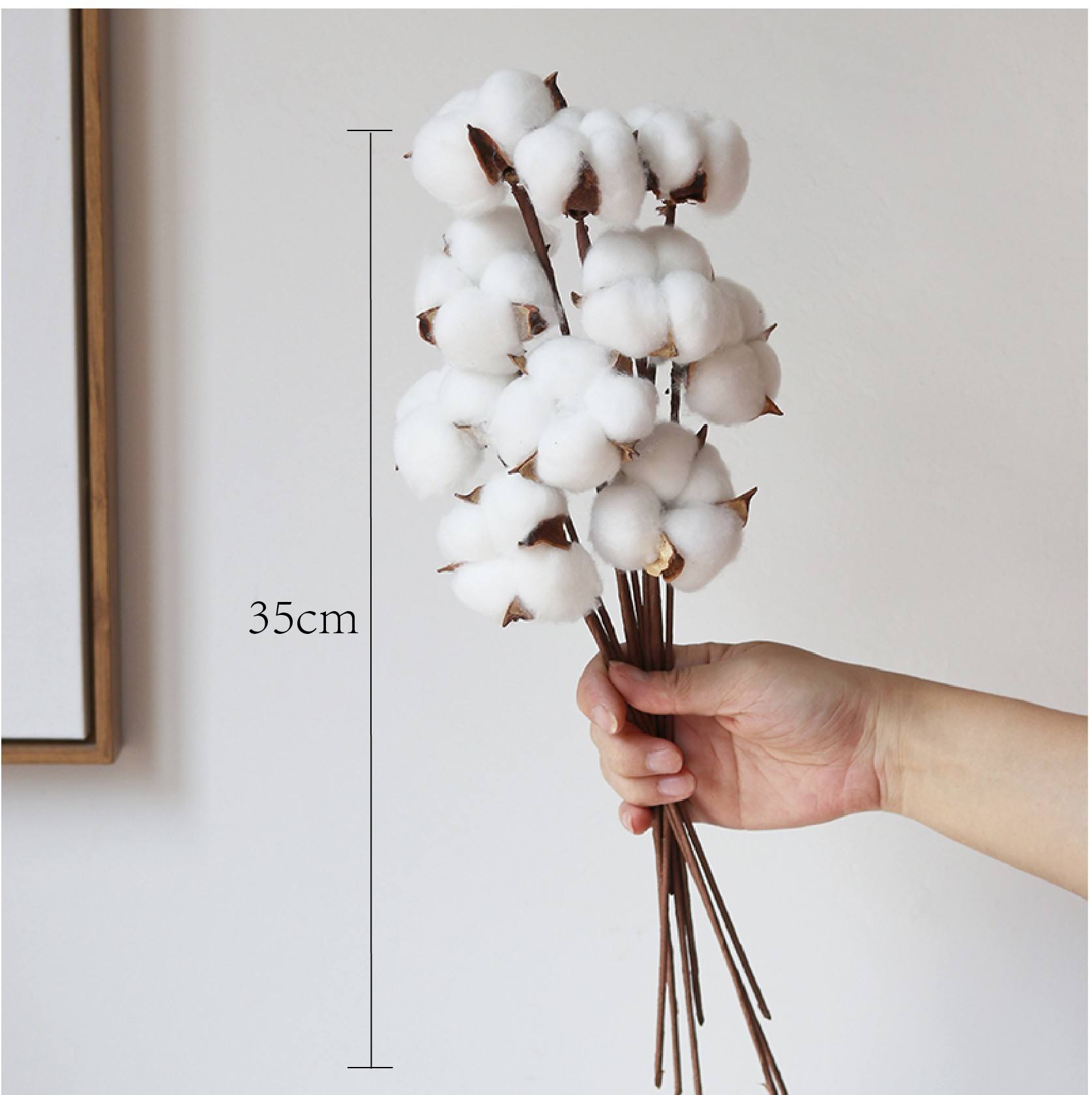 White 10 Cotton Plants (on Wire Rods) with a Height of 3