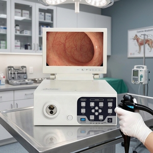 Gastroscopie vétérinaire vidéo 1080P HD, endoscope flexible avec canal de travail, pour clinique vétérinaire (chien, chat, cheval, animaux) - Product Image 1