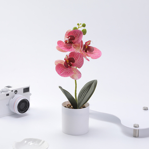 Plante artificielle Phalaenopsis en pot, fleurs au toucher en caoutchouc souple PU, ensemble de Phalaenopsis blanches tombantes, fleurs artificielles - Product Image 4