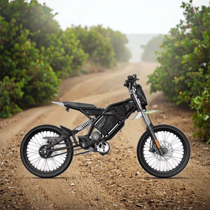 Motocicleta Win Wr-ex1 48v 28ah con Motor sin Escobillas y Batería de Litio Wr-ex1 Win - Product Image 1