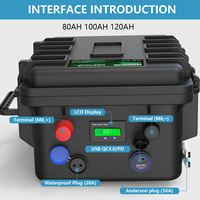 Batterie au lithium portable étanche LifePO4 12V 24V 48V 80Ah 100Ah 120Ah 150Ah 200Ah 300Ah, pack de batterie en valise