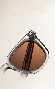 Gafas de Sol Retro Vintage 2026 al por Mayor con Protección UV400, Fabricante de Gafas Personalizadas, Gafas de Sol Premium de Acetato para Hombre - Product Image 5