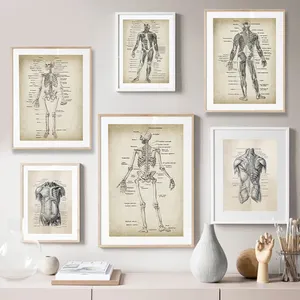 Groothandel arts olieverf-Menselijke Anatomie Canvas Art Prints En Poster, Retro Anatomie Poster Canvas Schilderij Wall Art Foto Medische Arts Kliniek Decor