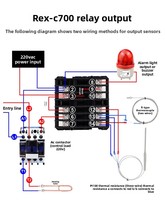 REX-C100 REX-C400 REX-C700 REX-C900 Relais SSR industriel 220V, contrôleur de température intelligent, thermostat numérique, plastique, OEM ODM
