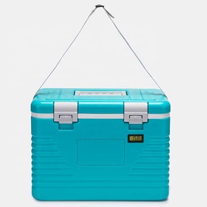 12L Cheap & good quality portable cooler box for medicine transportation