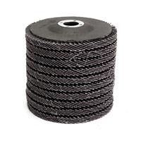 Disque à lamelles flexible incurvé de 4 pouces 100mm grain 80 60 meule abrasive en carbure de silicium pour le polissage des métaux Outil abrasif pour le verre