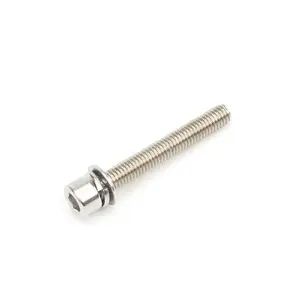 Stainless Steel Socket Head Round Screws Din 912 304/316 Plain Finish Metric Thread Sems Screws