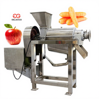 Machine industrielle de fabrication de jus de pomme pressé à froid, machine à jus de pomme, machine à jus de pomme pour la production de jus