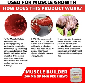 OEM/ODM tăng cơ nhai bổ sung protein chó hỗ trợ phát triển cơ bắp, thành phần cơ thể và trọng lượng hệ thống miễn dịch - Product Image 3