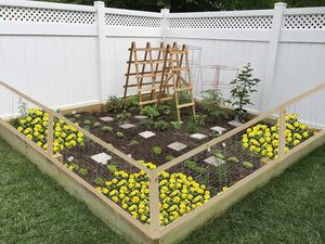 Lit <span class=keywords><strong>de</strong></span> jardin en bois, clôture, cèdre, clôture, picots, boîte <span class=keywords><strong>de</strong></span> jardinière, cadre pour légumes, Fruits, culture d'herbes - Product Image 6