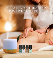 Minyak Esensial Aromaterapi Alami 100% OEM Ramah Lingkungan, Segar, Melembapkan, untuk Pijat Tubuh, Spa, Diffuser, Custom