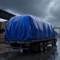Bâche en PVC Métallique Unie Antistatique Écologique pour Sac de Boxe et Bagages
