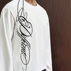 <span class=keywords><strong>Camiseta</strong></span> de Algodón Grueso Personalizada OEM, <span class=keywords><strong>Camiseta</strong></span> de Manga Larga con Estampado de Letras, Corte Holgado - Product Image 3