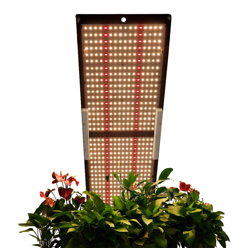 Meijiu Top Golden Supplier Verified Horticulture 240W QB288 Grow Light Deep Red Mix Samsung Lm301b Lm301h