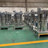 Ligne de production d'huile d'avocat vierge à bas prix, machine à huile d'avocat pressée à froid en Afrique, en Guinée et au Zimbabwe